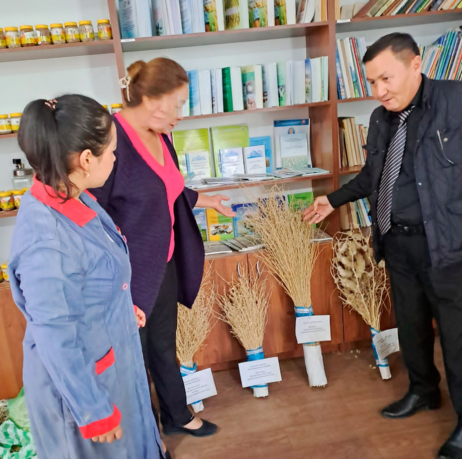 Изображение удалено.